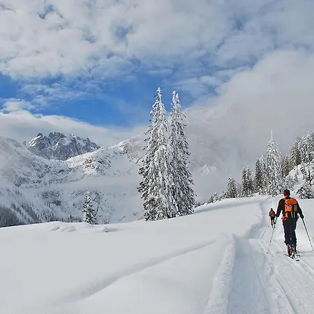 Dorfwerfen137 Apartmán