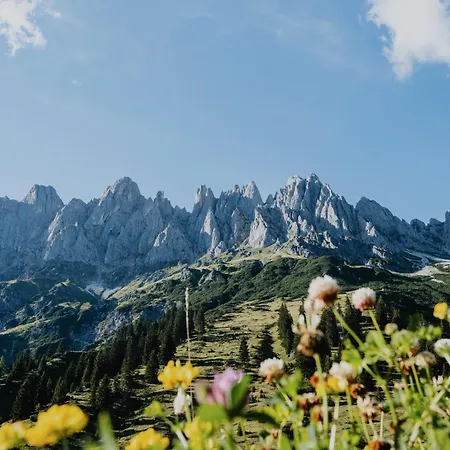 Lejlighed Dorfwerfen137 Pfarrwerfen