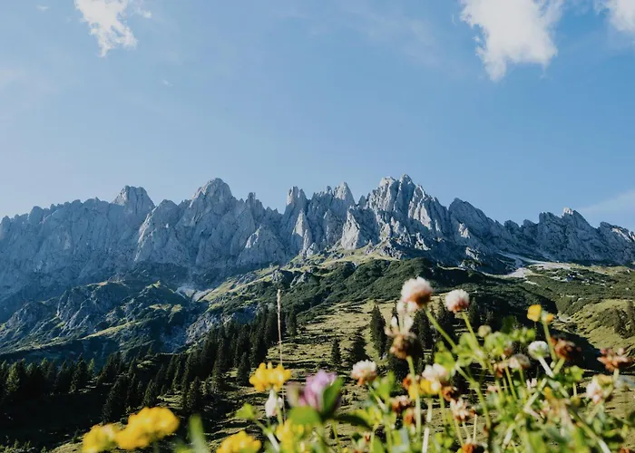 Apartment Dorfwerfen137 Pfarrwerfen